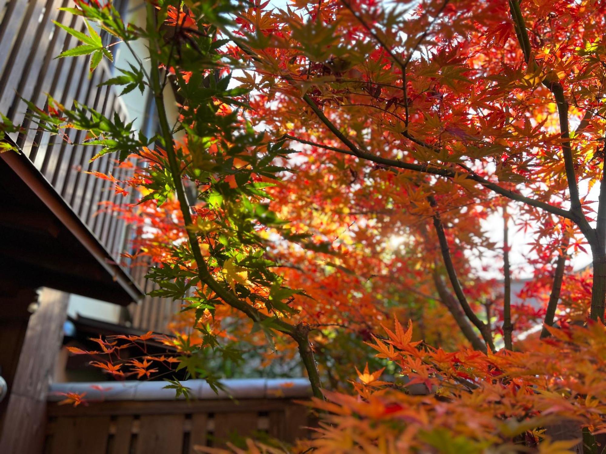 فيلا Imakumano Terrace - Dohachi An 道八庵 كيوتو المظهر الخارجي الصورة